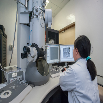 Automated Election Microscope Image Target Selection